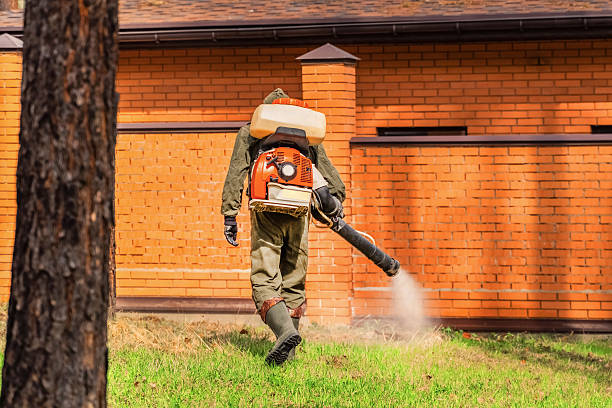 Trusted Cockroach Control service in Crooksville, OH - Nex Pest Control
